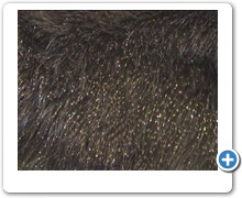 collection 4 golden glitter on finnraccoon